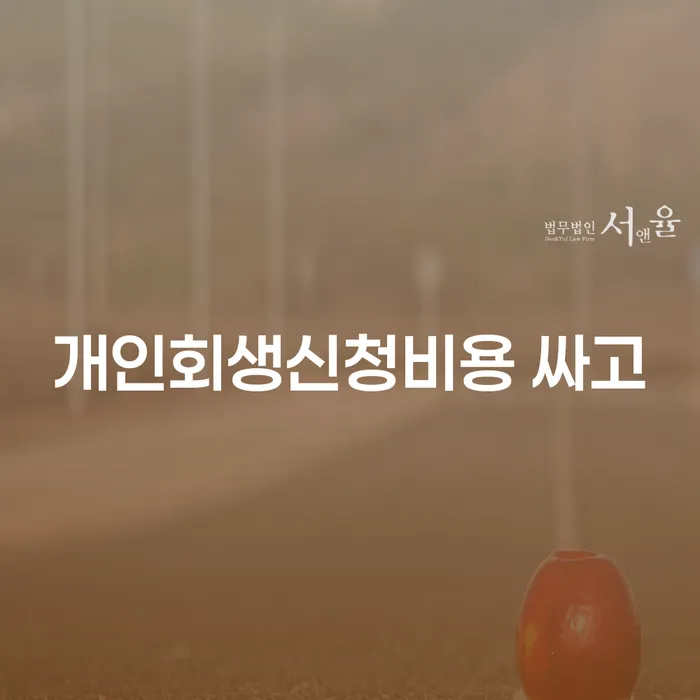 대출미납 개인회생 처리방법 구체적으로 살피면서