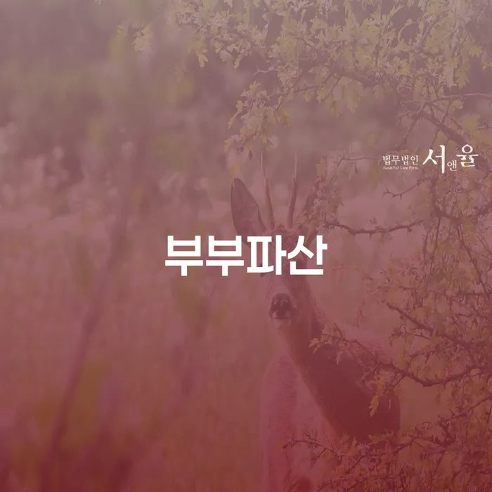 부산개인회생상담 빚독촉 추천하는 법률사무소