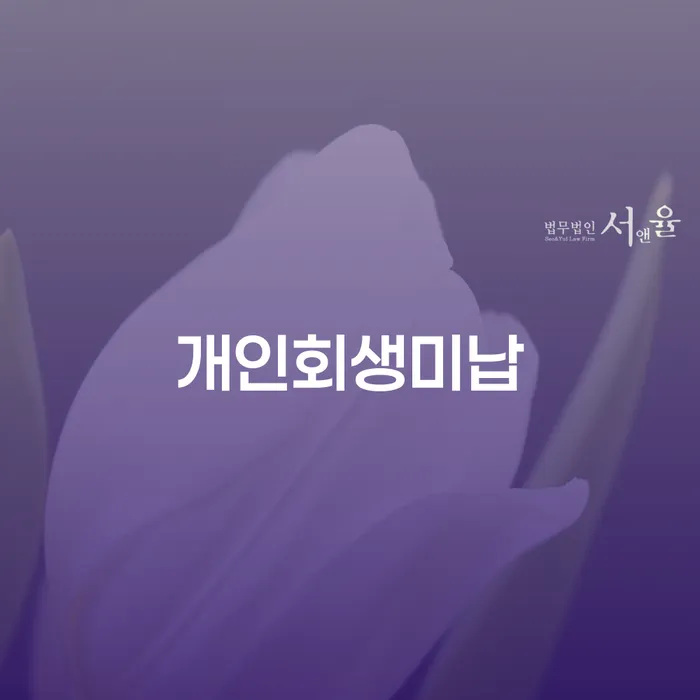 동작구 정부대환대출 연체 시 빚청산 잘 하는 변호사