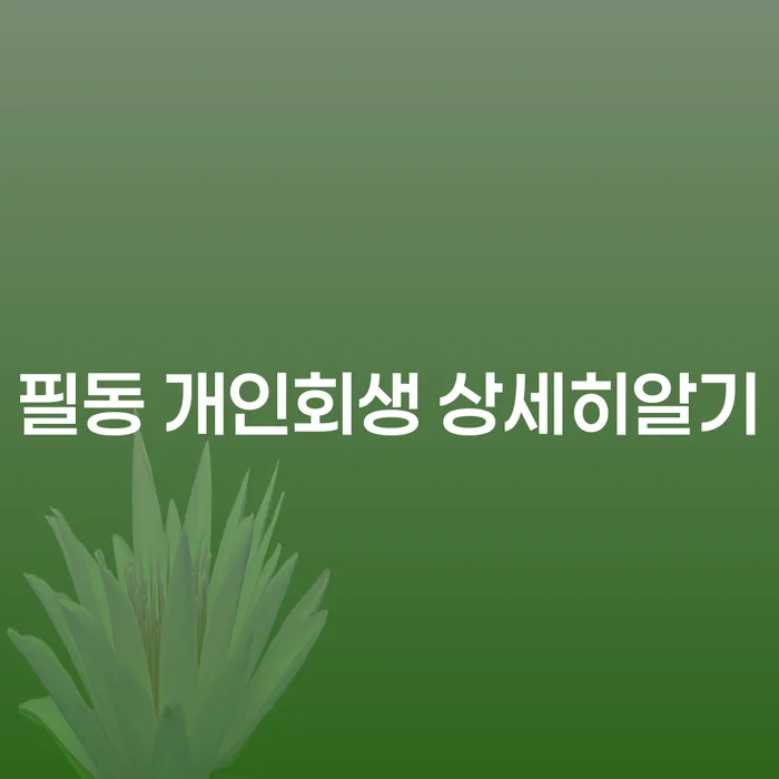 필동 개인회생 상세히알기