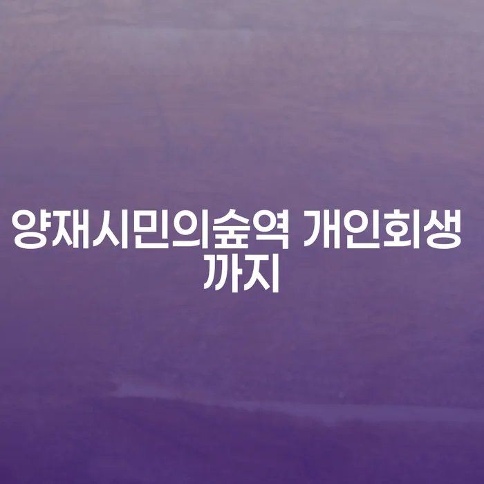 양재시민의숲역 개인회생 까지