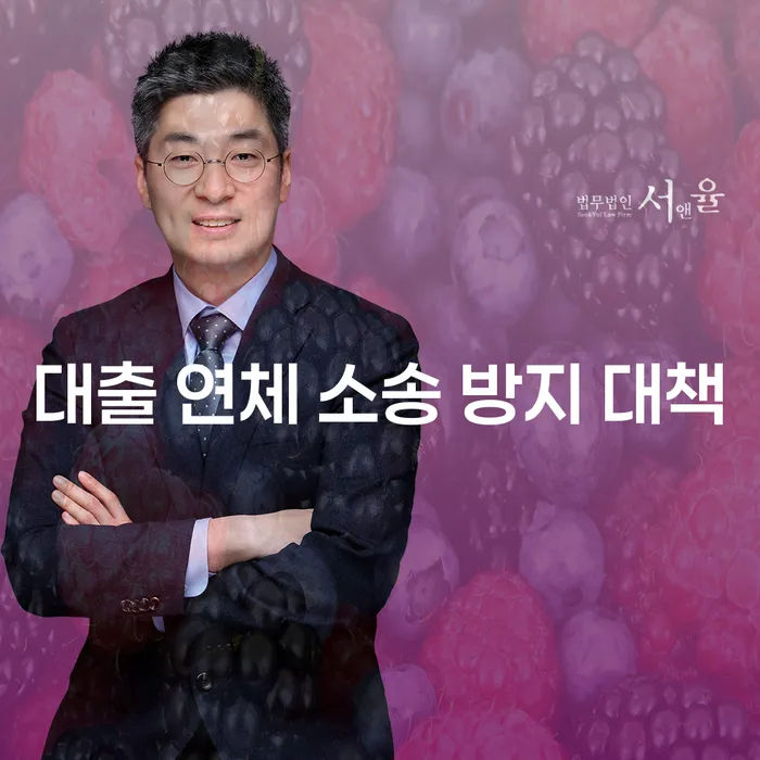 대출 연체 소송 방지 대책은 어떻게 마련할 수 있을까요?