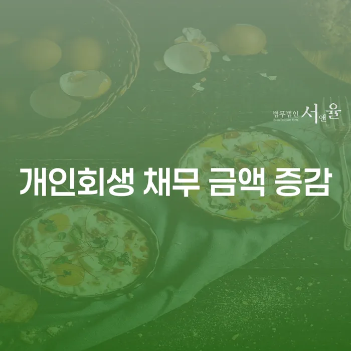 개인회생 채무 금액 증감이 궁금하시나요?