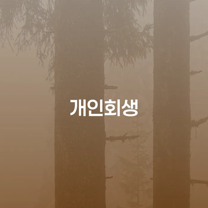 동선동 개인회생, 지금 신청해야 할까요?