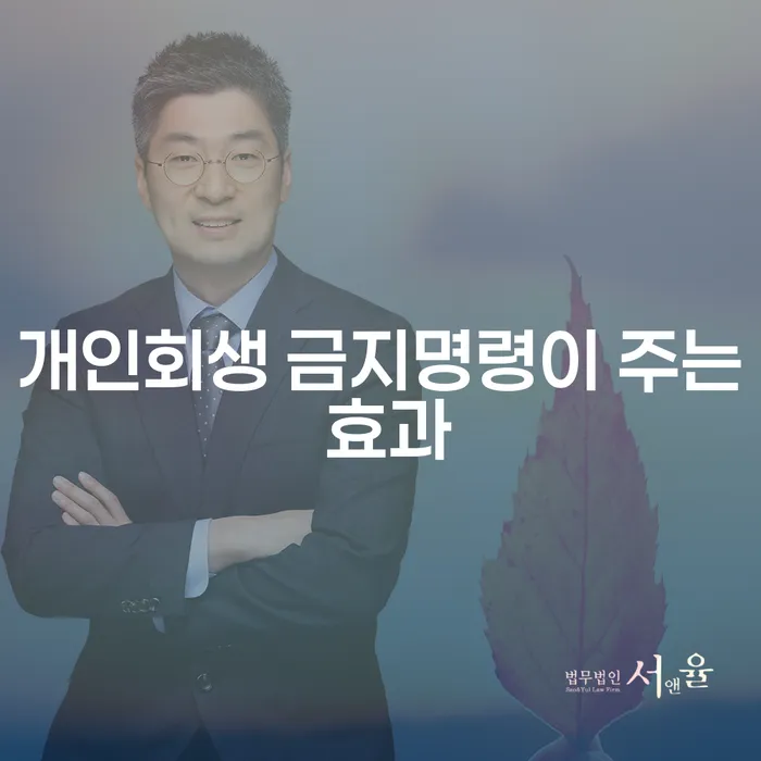 개인회생 금지명령의 효과는 무엇일까요?