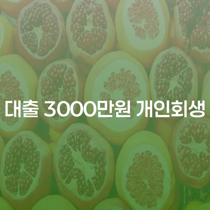 대출 3000만원, 개인회생으로 해결할 수 있을까요?