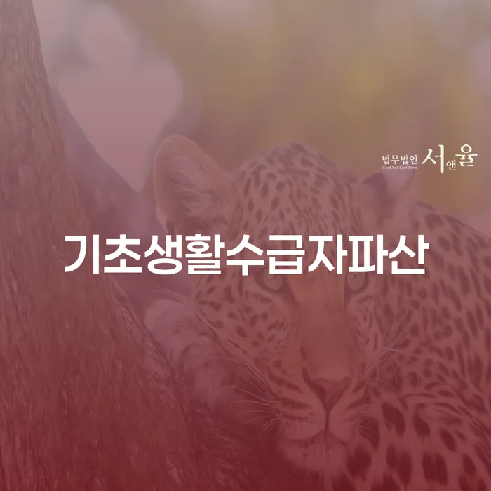 기초생활수급자파산과 개인회생: 현명한 선택은?